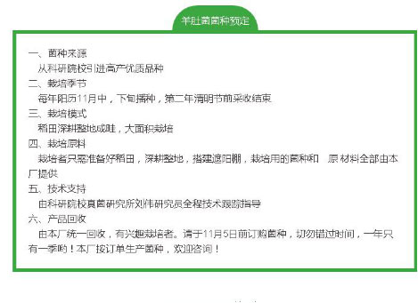 湖南創(chuàng)蕈農(nóng)業(yè)科技有限公司,懷化食用菌種植銷售,懷化羊肚菌種植銷售,懷化赤松茸種植銷售 湖南創(chuàng)蕈農(nóng)業(yè)科技有限公司,懷化食用菌種植銷售,懷化羊肚菌種植銷售,懷化赤松茸種植銷售